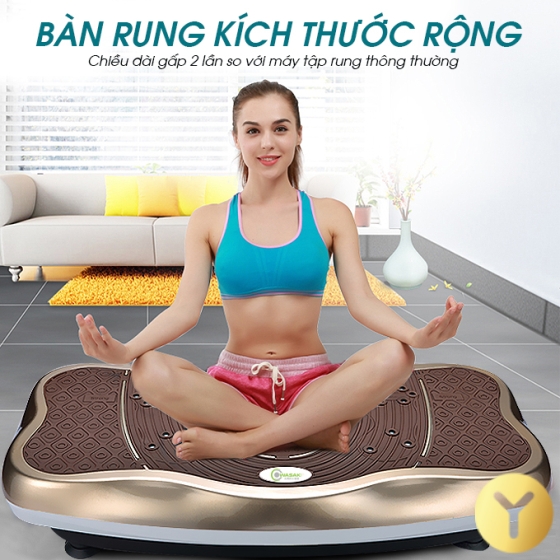 Máy rung giảm béo toàn thân Owa 880